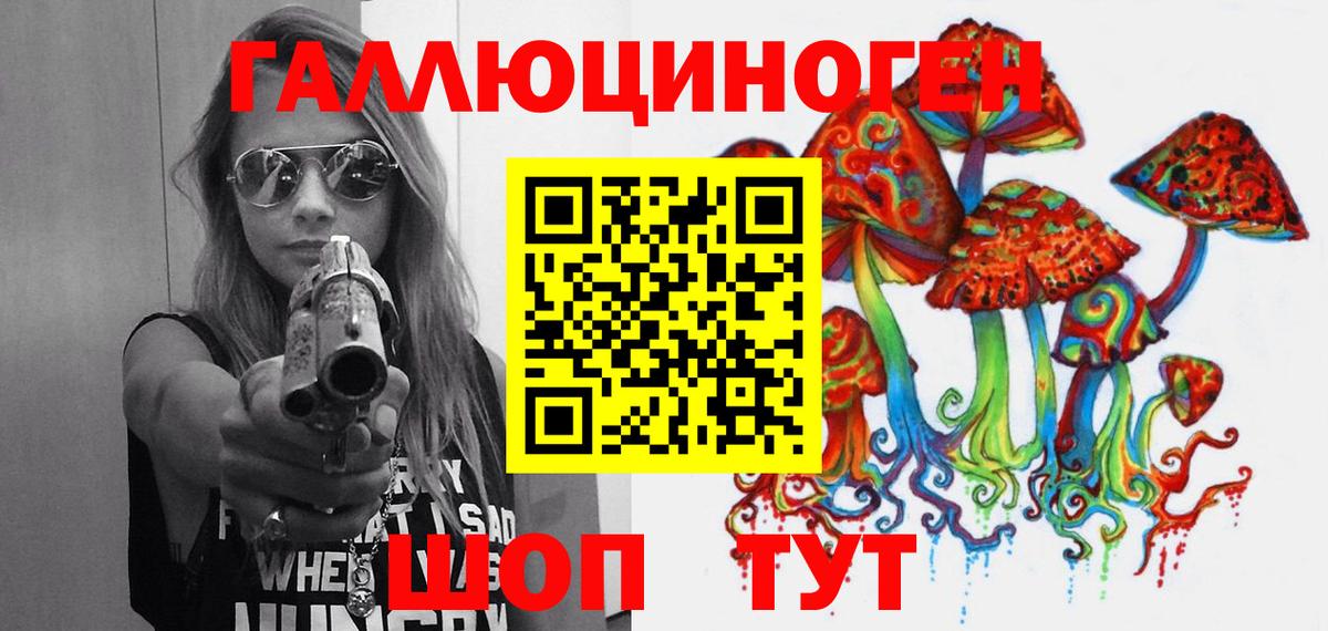 где можно купить наркотик  Вход с VPN  Галлюциногенные грибы GOLDEN TEACHER  Дзержинск  Галлюциногенные грибы мицелий 
